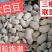 精选大白豆，颗粒饱满，产地直销，整件更优惠