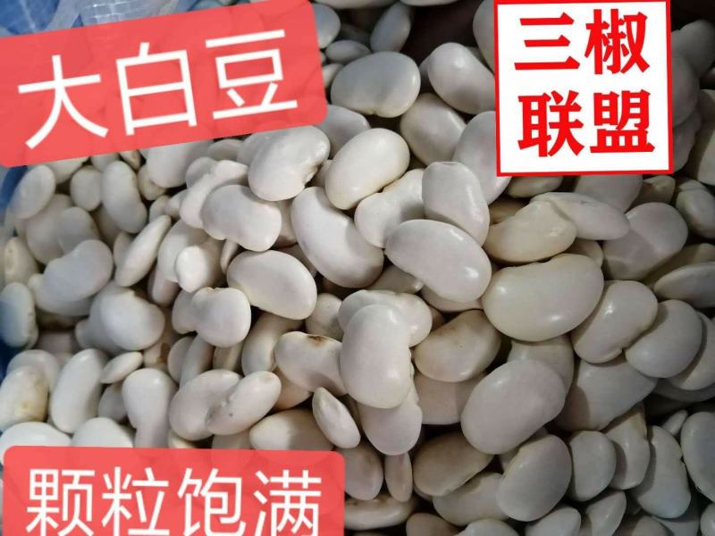 精选大白豆，颗粒饱满，产地直销，整件更优惠