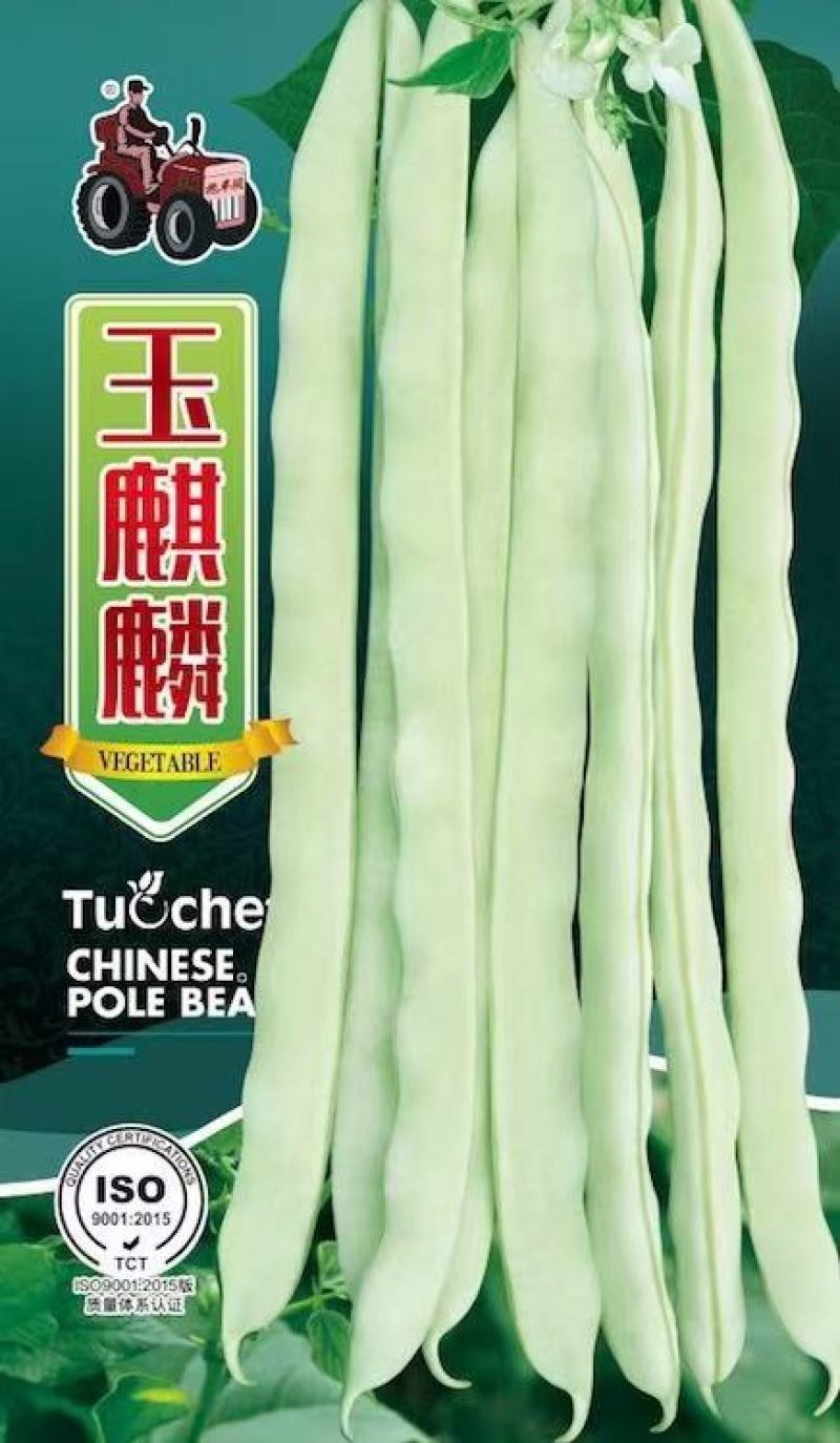 早熟无筋架豆种子九粒白种子老来少种子嫩绿色白不老种子