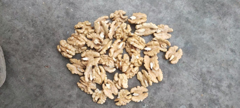 农村人纯手工挑选精品核桃果，健康食品可视频看货，质量保证