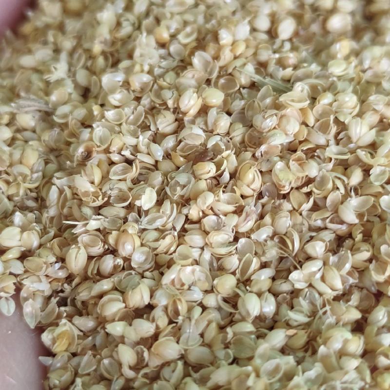 （精选好货）小米壳，谷壳猪牛羊养殖必备好料，货真价实！
