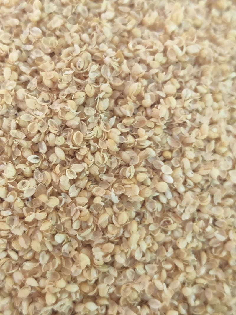 （精选好货）小米壳，谷壳猪牛羊养殖必备好料，货真价实！