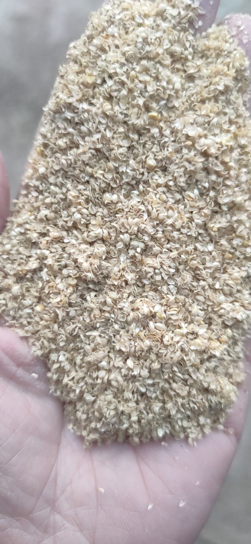 （精选好货）小米壳，谷壳猪牛羊养殖必备好料，货真价实！
