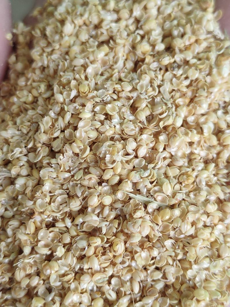 （精选好货）小米壳，谷壳猪牛羊养殖必备好料，货真价实！