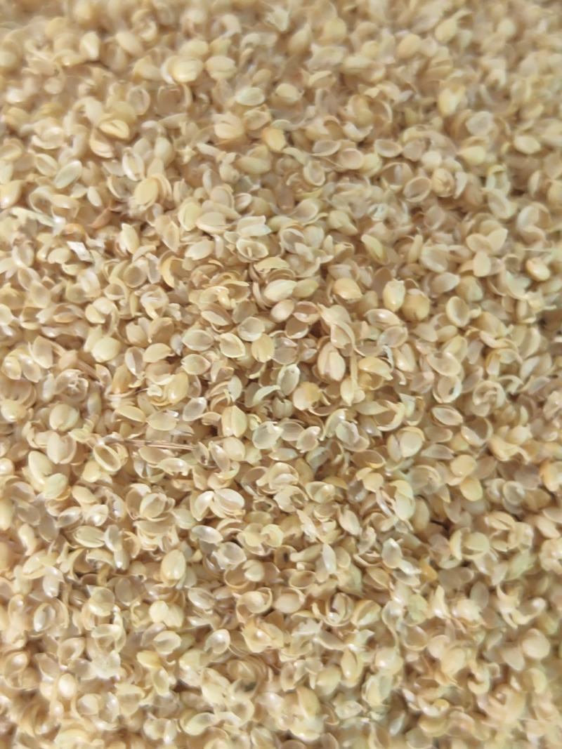 （精选好货）小米壳，谷壳猪牛羊养殖必备好料，货真价实！