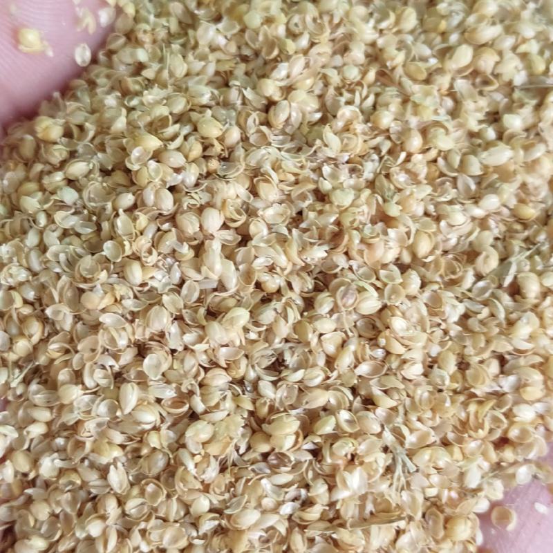 （精选好货）小米壳，谷壳猪牛羊养殖必备好料，货真价实！