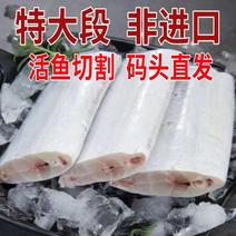 【-10斤带鱼】批发10斤冷冻带鱼段