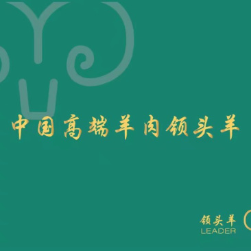 内蒙古乌珠穆沁羊肉高端精修白条