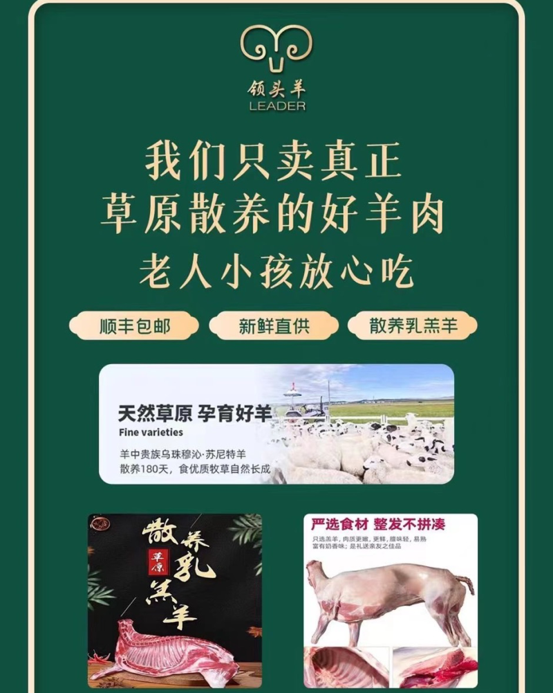 内蒙古乌珠穆沁羊肉高端精修白条