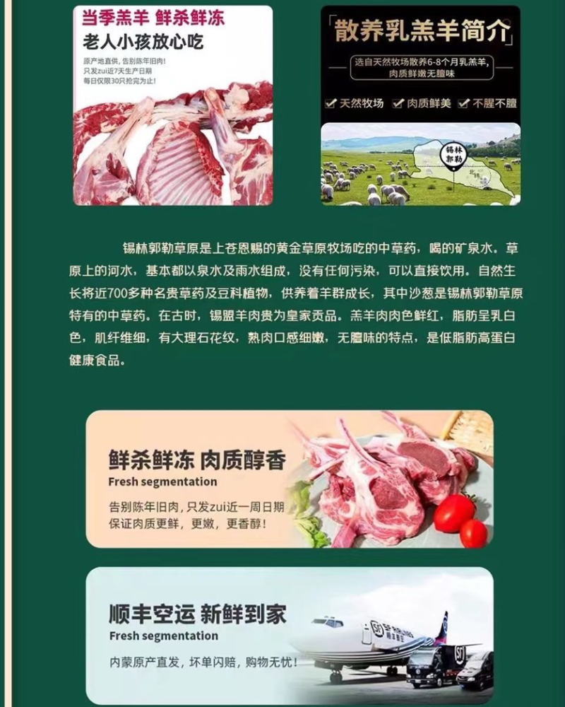 内蒙古乌珠穆沁羊肉高端精修白条