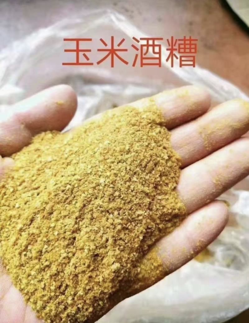 玉米酒糟，蛋白26.高脂8，低脂2，适合饲喂牛羊