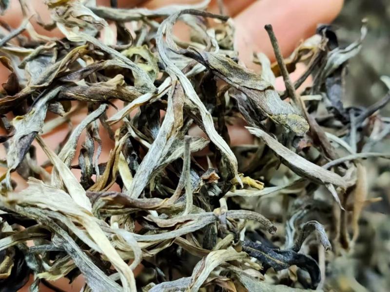 布朗山吉良2021年曼囡古树春茶纯料滋味厚重回甘山野气韵