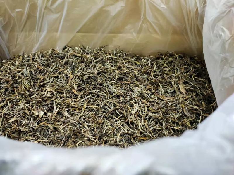 布朗山吉良2021年曼囡古树春茶纯料滋味厚重回甘山野气韵