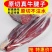 【包邮-原切牛腱】5斤10斤牛腱子肉牛肉