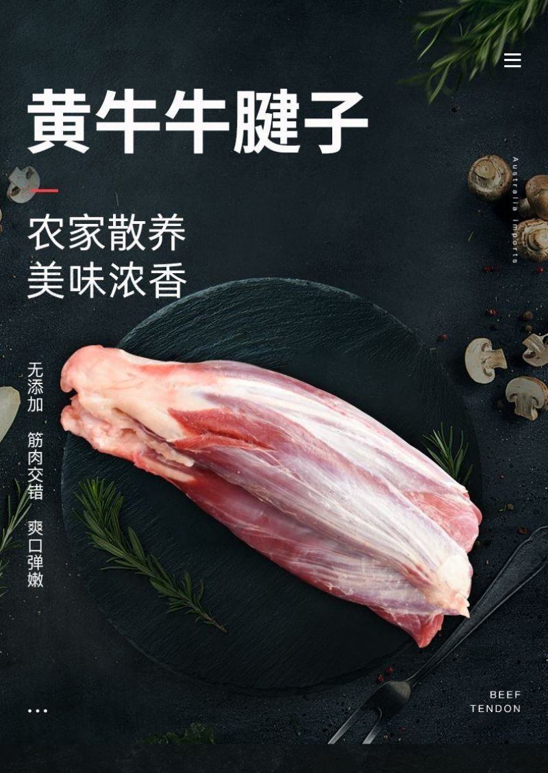 【包邮-原切牛腱】5斤10斤牛腱子肉牛肉