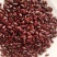 进口净粮赤小豆，小包装，25公斤包，是食品加工好原料