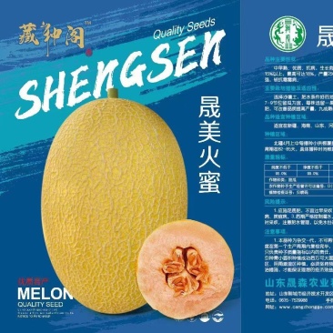 黄网哈密瓜25种子，黄皮红肉网纹好肉质红脆，高产抗病