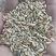 大麦漏，俄麦，乌麦，法麦过风过筛净粮，无霉变，适合牛羊等