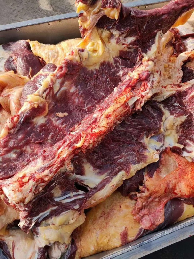 【牛全骨】肉大牛手把肉，价格美丽，走冷链物流可发全国！