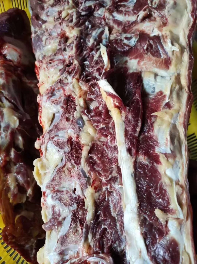 【牛全骨】肉大牛手把肉，价格美丽，走冷链物流可发全国！