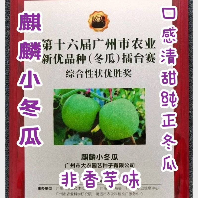 麒麟冬瓜种子非香芋味清甜纯正冬瓜味