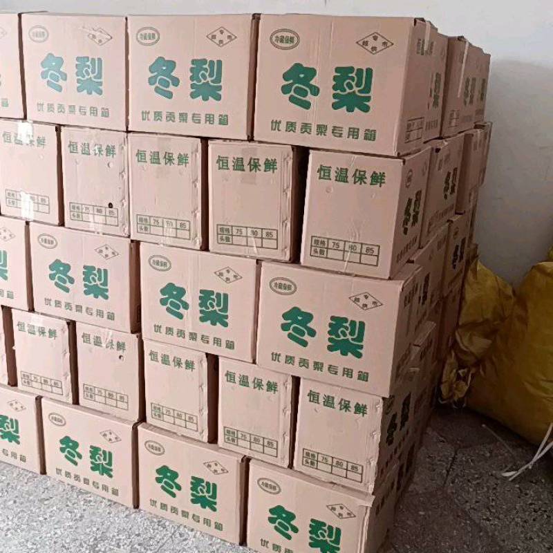 《实力》蒲城地面长把梨〈冬果梨〉洋梨大量上市三两半起质量好