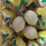 安岳黄柠檬尤力克柠檬大量供货市场商超饮品可一件代发批发