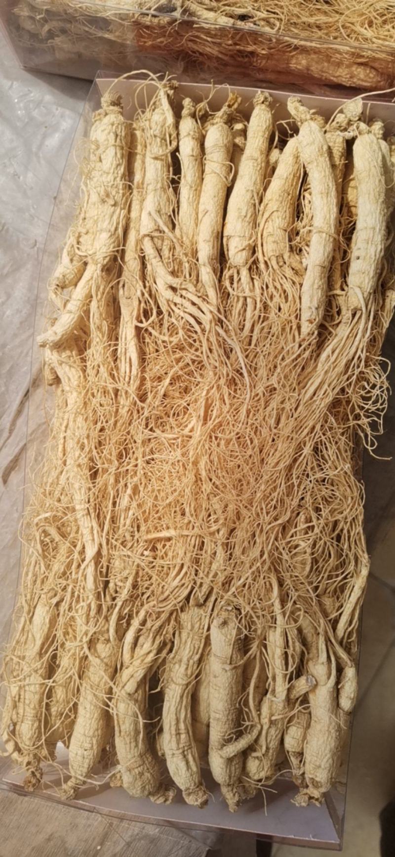 长白山人参须人参白混须泡水打粉煲汤一件代发