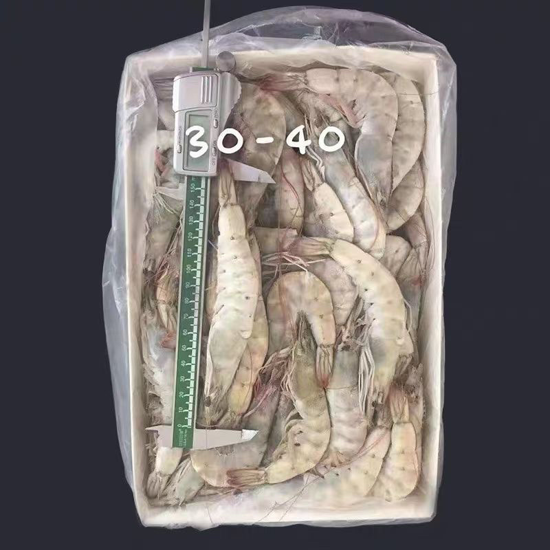 冻虾盐冻虾水冻虾全规格。活虾速冻