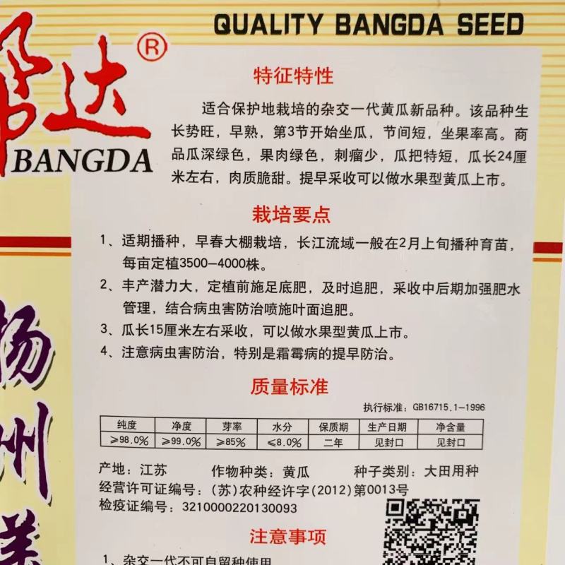 刺瘤少瓜把特短水果黄瓜种子瓜皮深绿色绿瓤口感脆甜黄瓜种籽