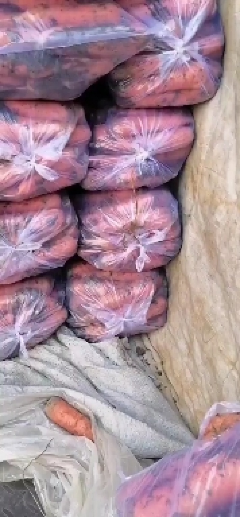 胡萝卜优质北京包胡萝，卜，价不高，质量很好欢迎各位老板前