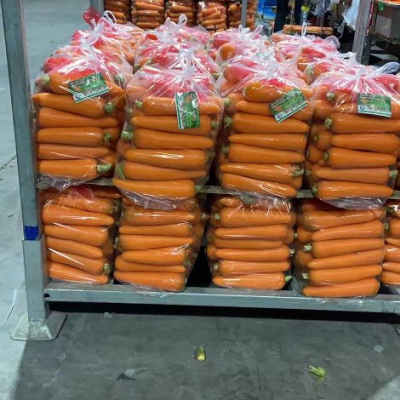 精品胡罗卜，分级包装，产地直发，全年供应了
