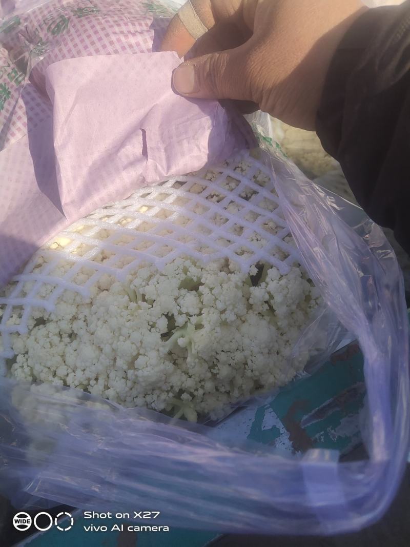 有机花大量有货，产地直销，质量保证，青梗有机花，