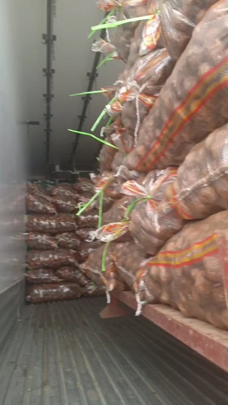 山东芋头种8520芋头货源充足价格优惠