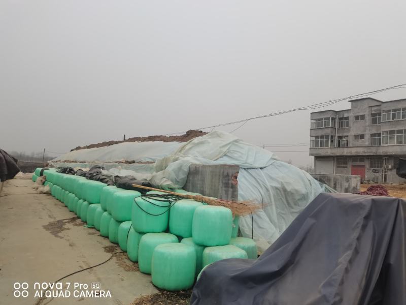 长年出售秸秆原料，山羊和胡羊！品种优良质优价廉，欢迎选购