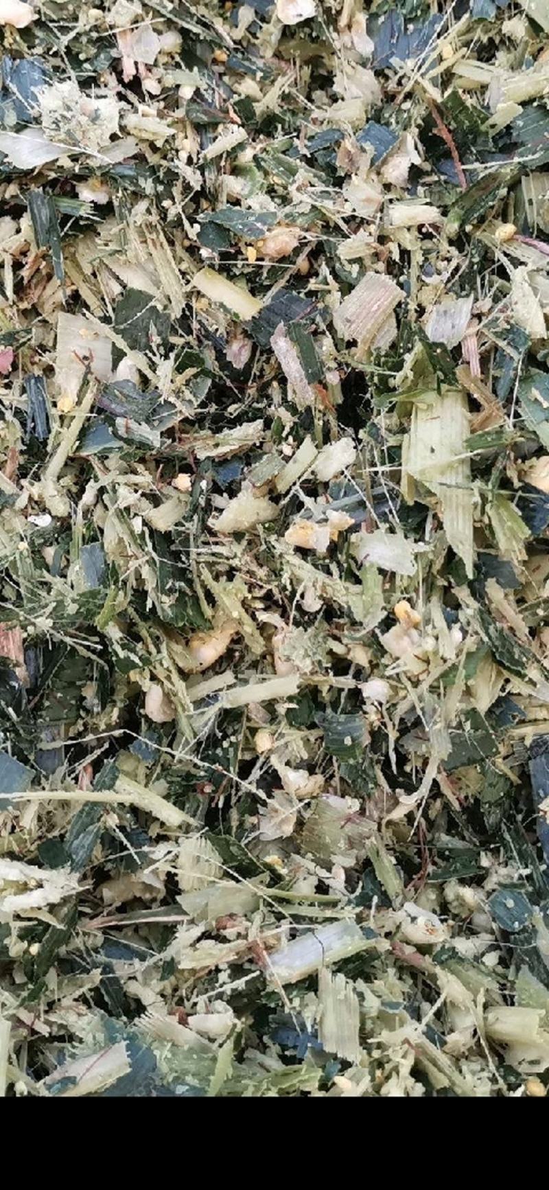 长年出售秸秆原料，山羊和胡羊！品种优良质优价廉，欢迎选购