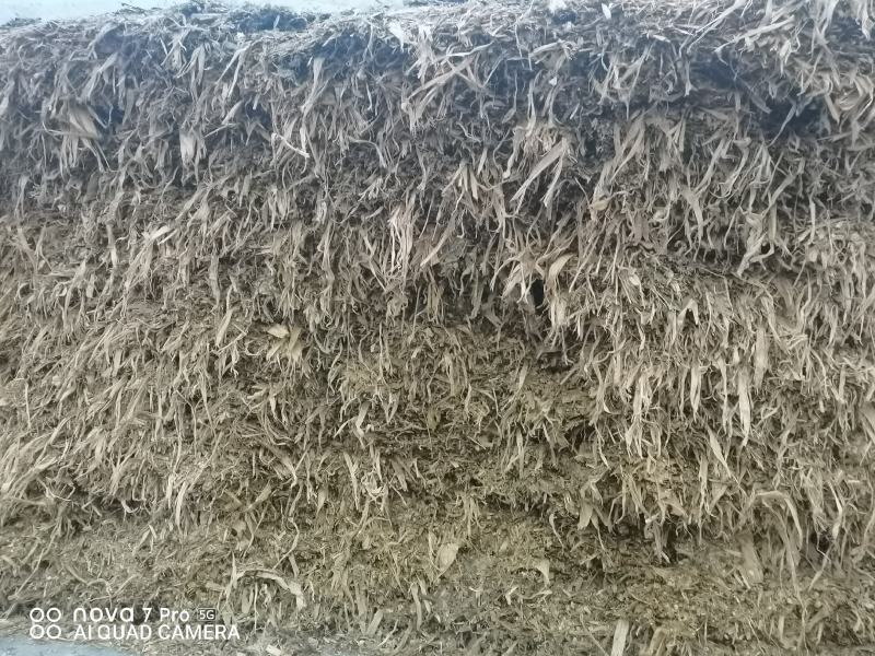 长年出售秸秆原料，山羊和胡羊！品种优良质优价廉，欢迎选购