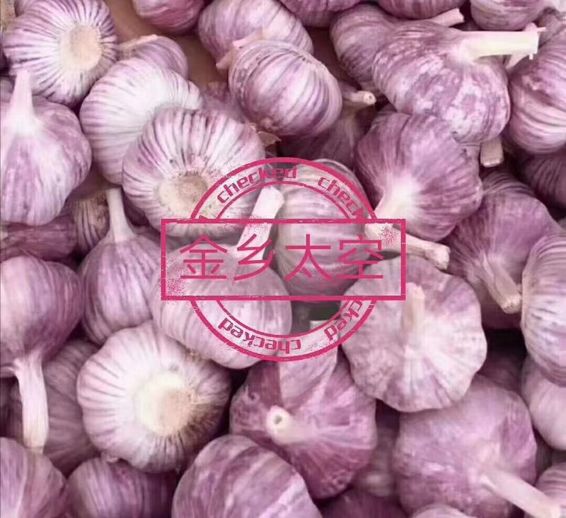 【热卖】紫皮大蒜红皮大蒜支持各种包装.全国全年供货，货源稳定