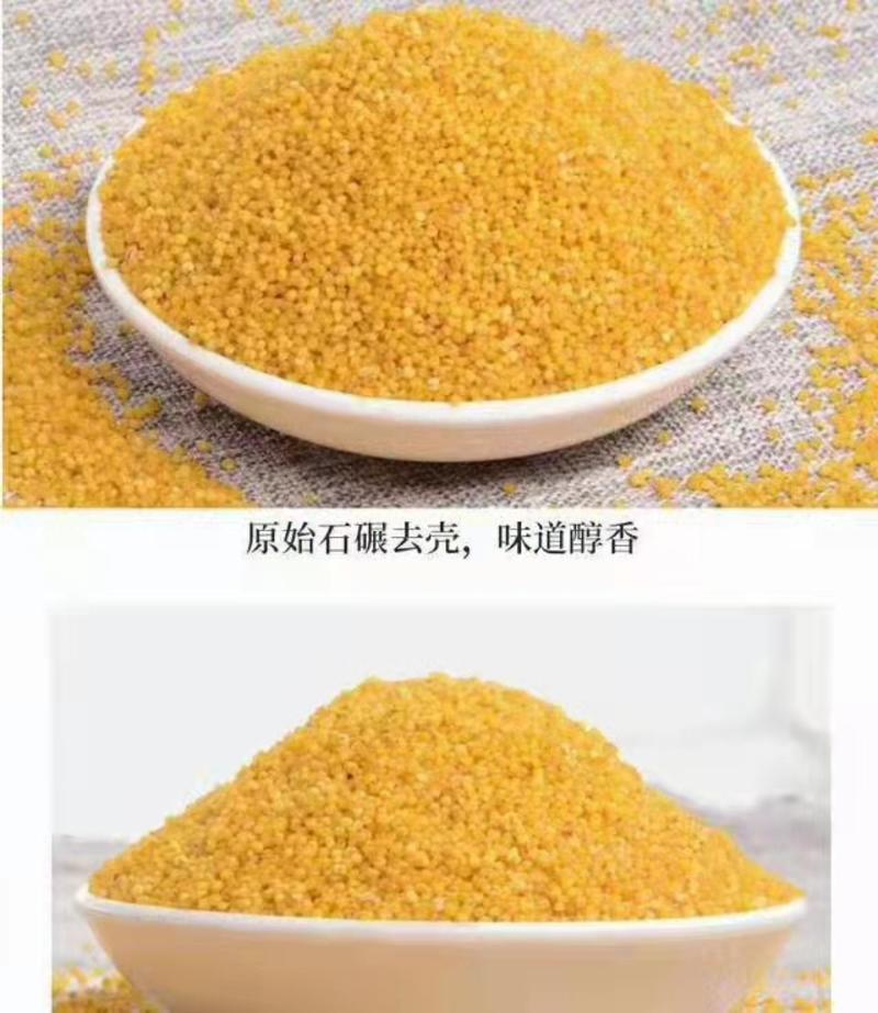 陕西榆林米脂小米，包邮，零售，新鲜小米产地直发