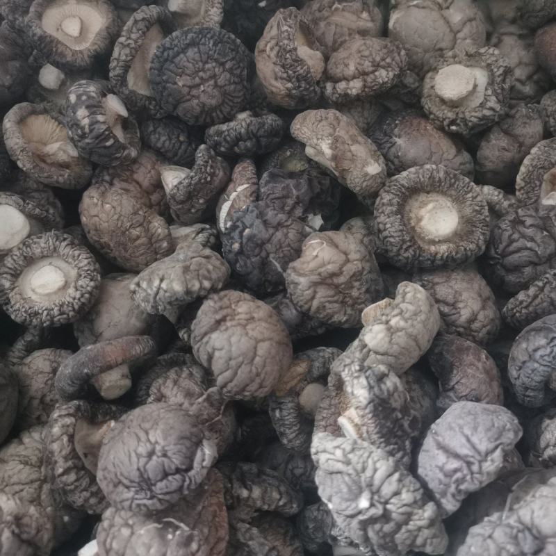 【干香菇】特级小香菇产地直供一手货源量大从优对接批发市