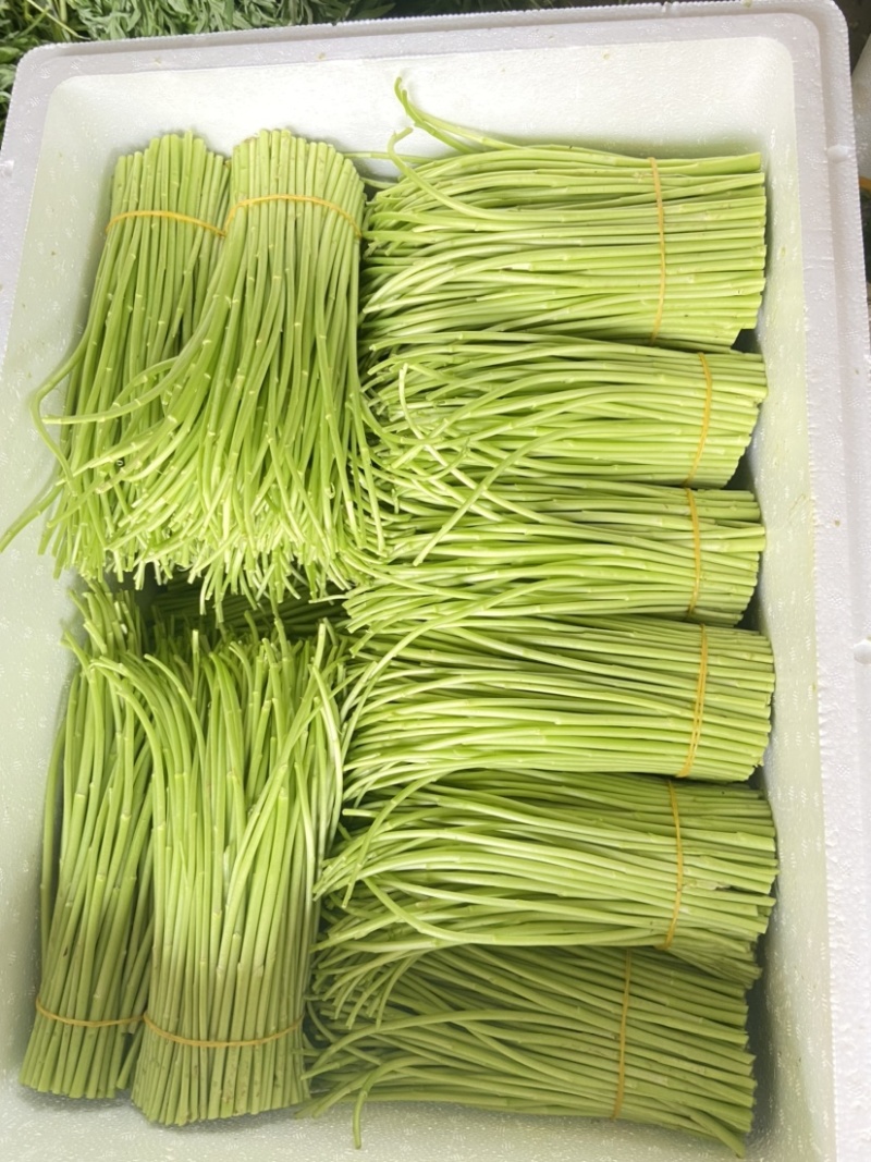 芦蒿嫩芦蒿