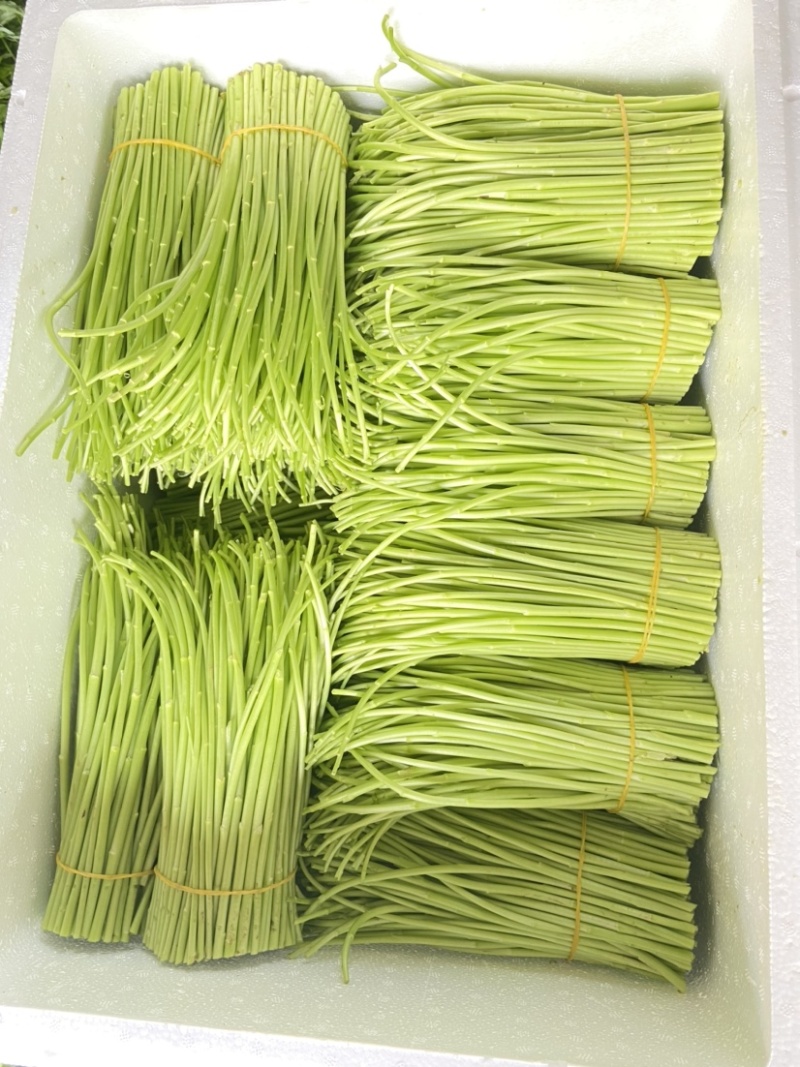 芦蒿嫩芦蒿