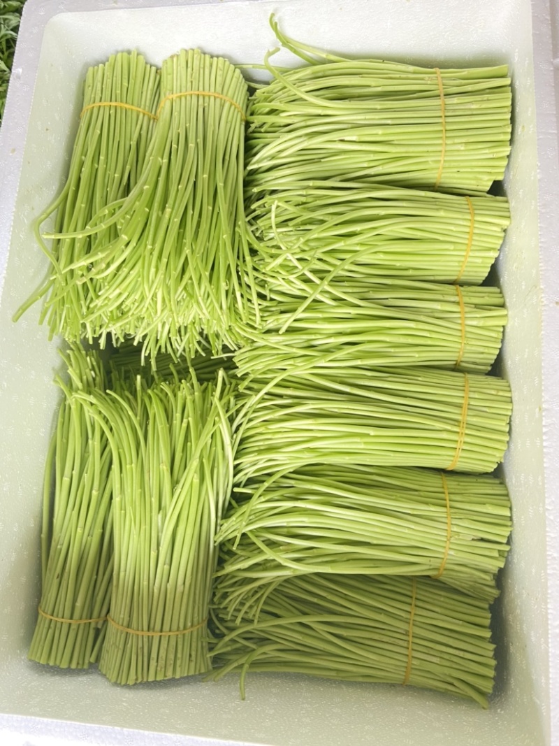 芦蒿嫩芦蒿