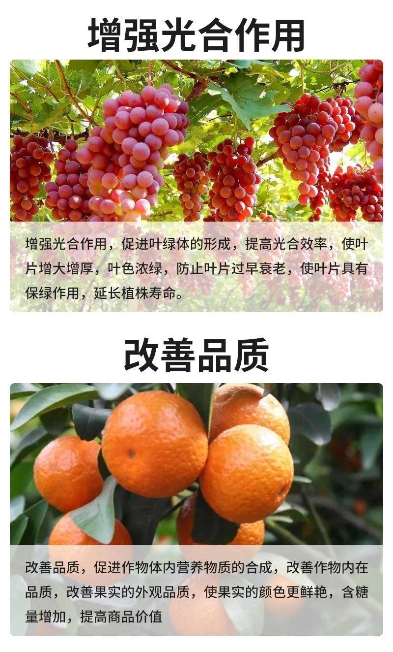 锌硼钾钙镁含氨基酸水溶肥保花保果增大增甜蔬菜果蔬花卉通用