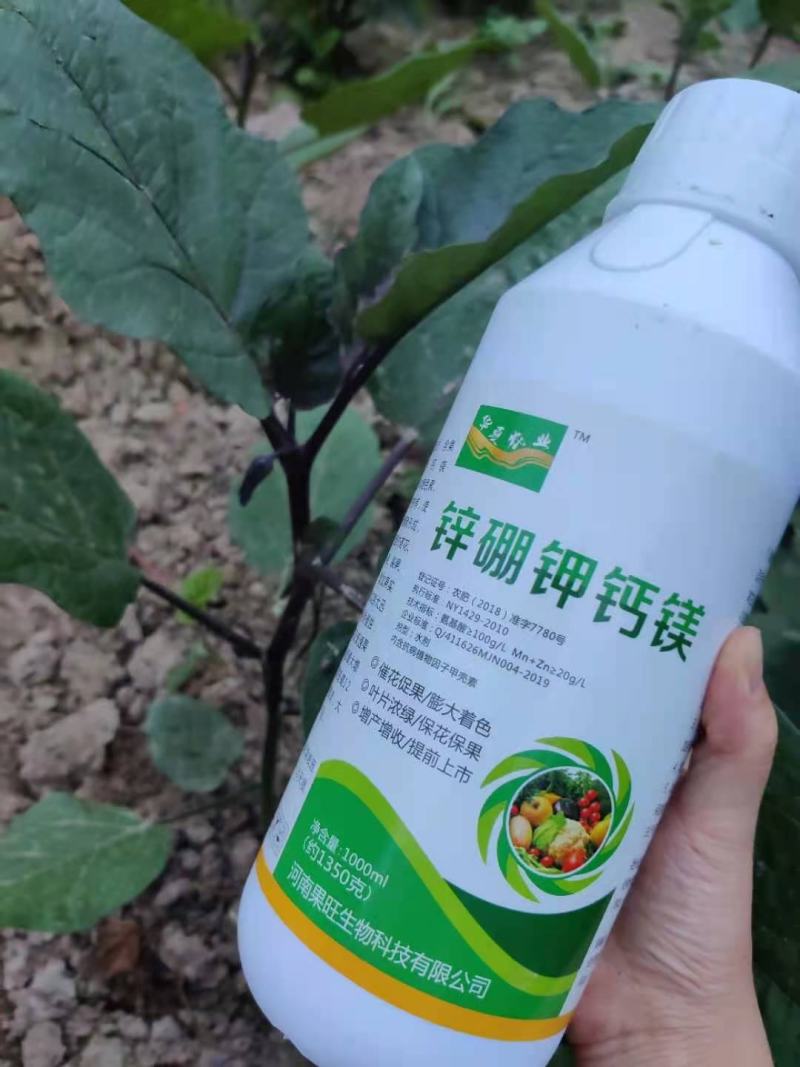 锌硼钾钙镁含氨基酸水溶肥保花保果增大增甜蔬菜果蔬花卉通用