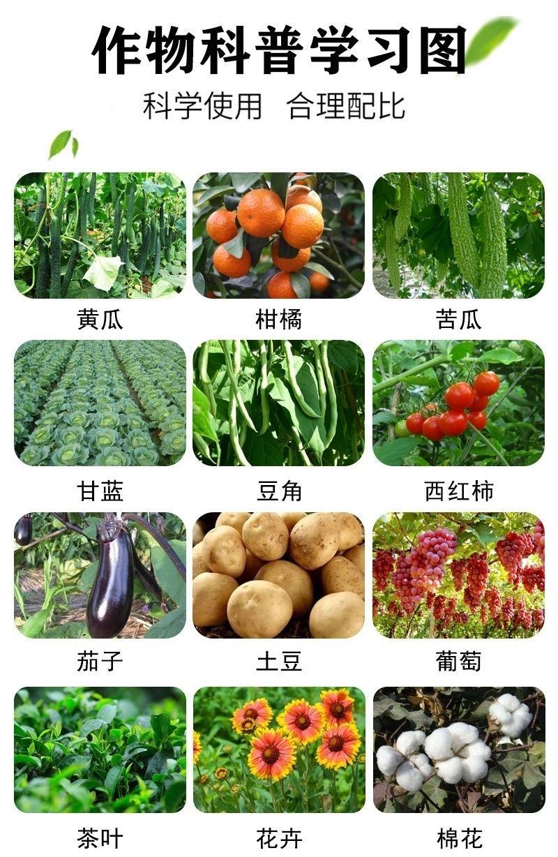 锌硼钾钙镁含氨基酸水溶肥保花保果增大增甜蔬菜果蔬花卉通用