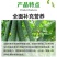 锌硼钾钙镁含氨基酸水溶肥保花保果增大增甜蔬菜果蔬花卉通用
