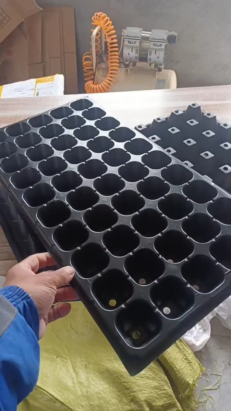 穴盘育苗盘50孔150克加厚平盘托盘育苗盘蔬菜瓜果专用盘