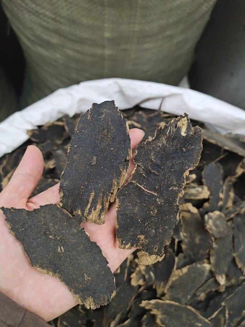 玄参玄参片元参大个选片无杂质量大从优可供大货