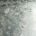 山东省泗水县甘蓝即将大量上市了！品种中甘系列韩国青